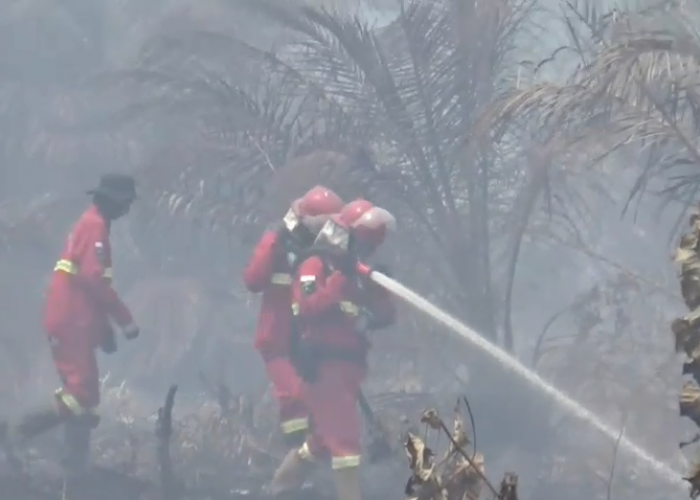 Risiko Karhutla Masih Tinggi, Al Haris Terus Pantau Titik Api
