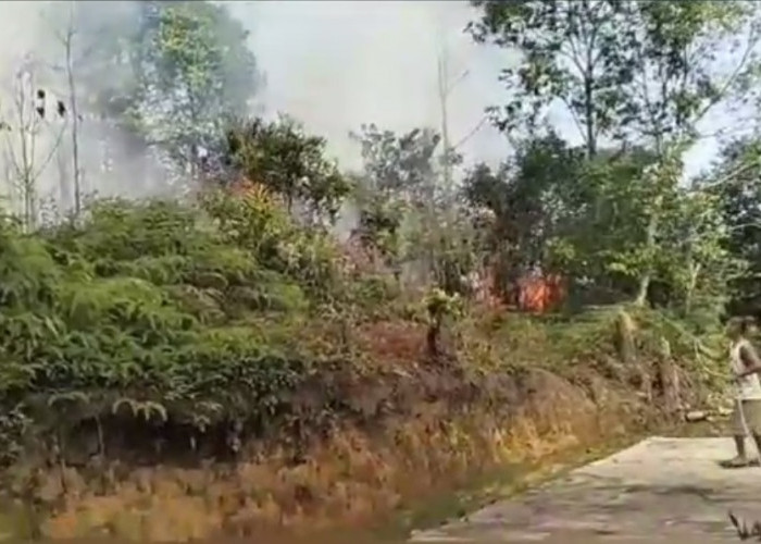 Kebakaran Lahan Merambat Ke Atap Rumah Warga 