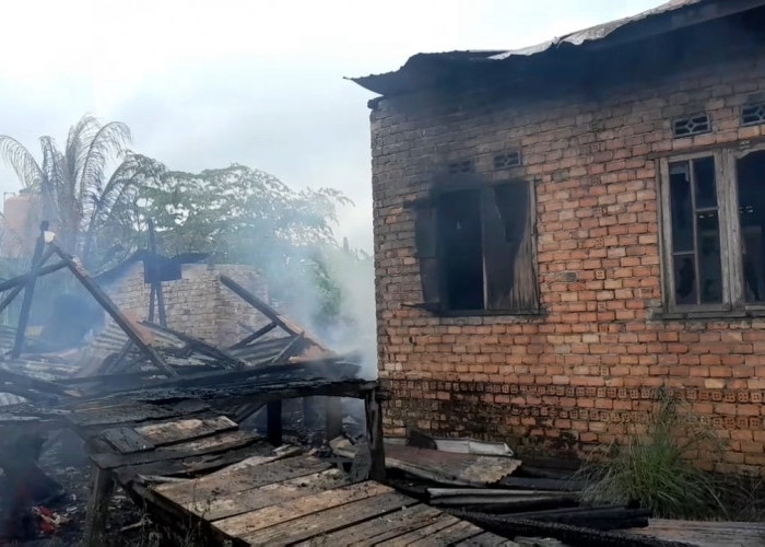 Rumah dan Bedeng 2 Pintu Ludes Terbakar di Desa Niaso, Ada Kucing yang Juga Terpanggang