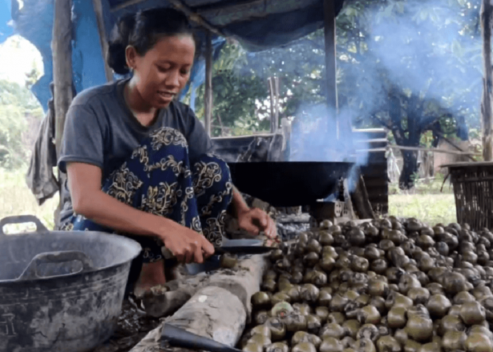 Hanya Ada di Bulan Ramadhan, Kolang Kaling (Beluluk) Diburu Warga Untuk Hidangan Berbuka Puasa