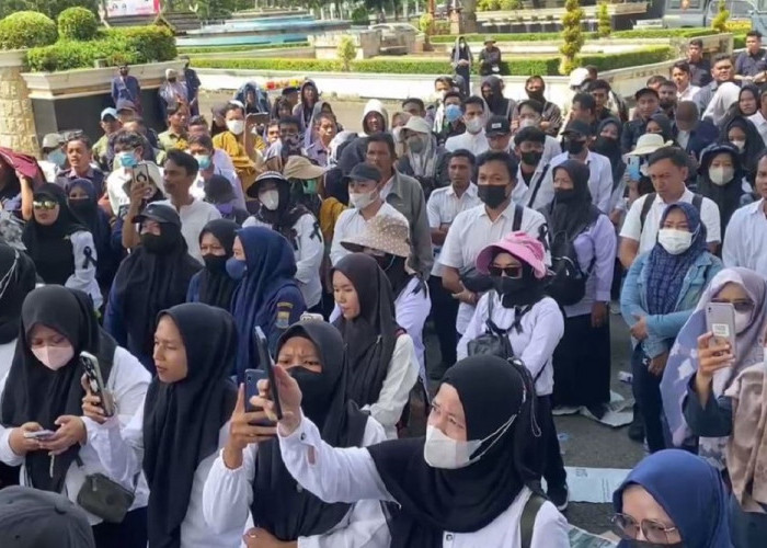 Ratusan Honorer Pemprov Jambi Gelar Aksi Damai, Tuntut Kesejahteraan Dan Kenaikan Gaji