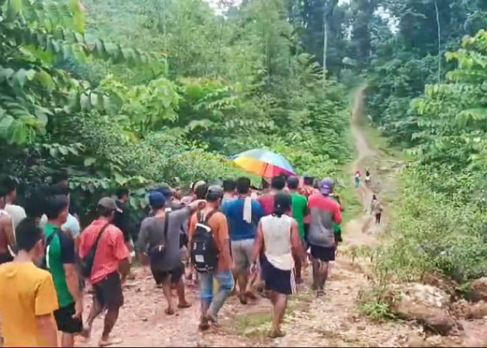 Bidan Desa Di Tarik Ke Puskesmas, Warga Desa Batu Empang Harus Jalan Berjam Jam Hanya Untuk Berobat 