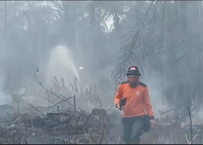 Satgas Karhutla Masih Lakukan Pendinginan Kebakaran Lahan di Desa Ramin Hingga Hari ke-4