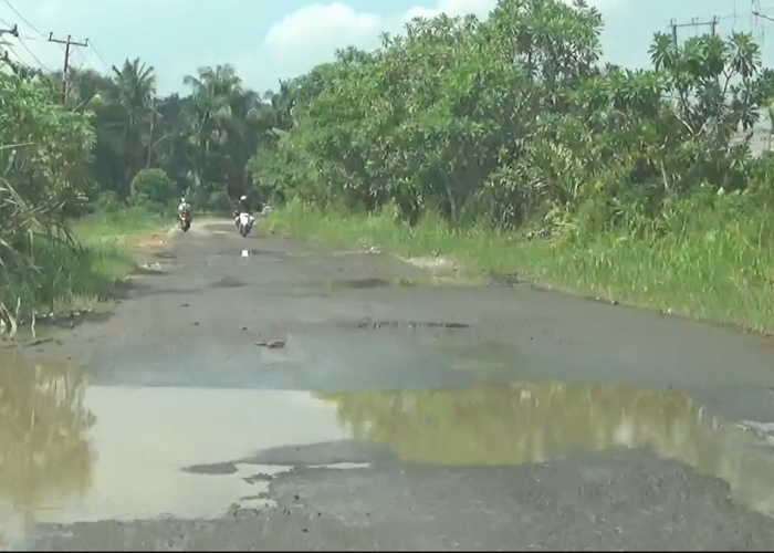 Rusak Parah dan Berbahaya Jalan Nasional Desa Sungai Saren dan Desa Pembengis Pemkab Minta BPJN Segera Perbaik