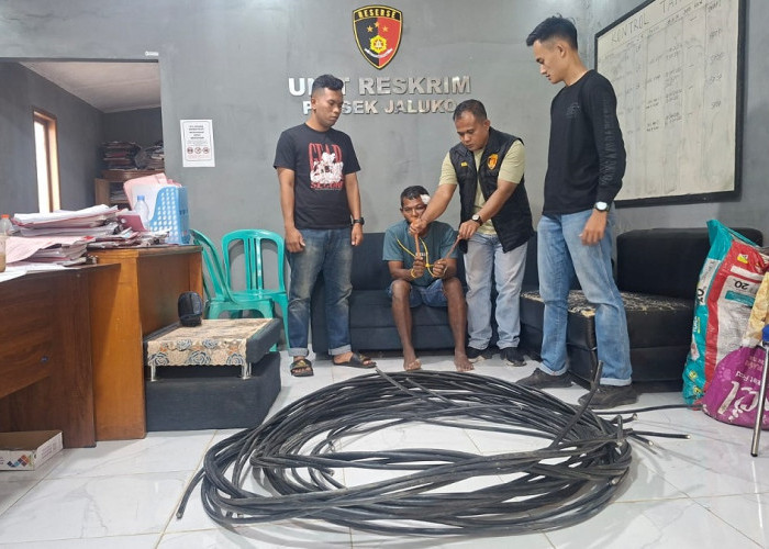 Baru Bebas, Residivis Pencuri Kabel Listrik Kembali Beraksi di Muaro Jambi, Diciduk Usai Sembunyi di Kebun Saw