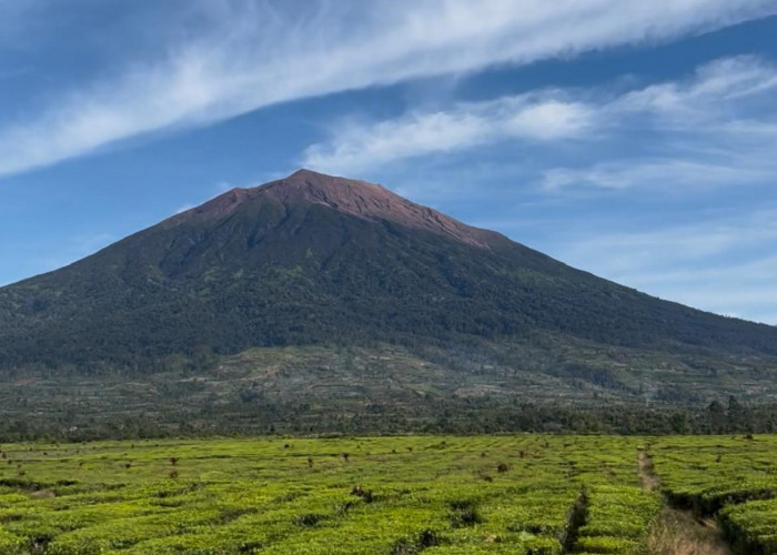 Gunung Kerinci Dibuka Kembali untuk Pendakian