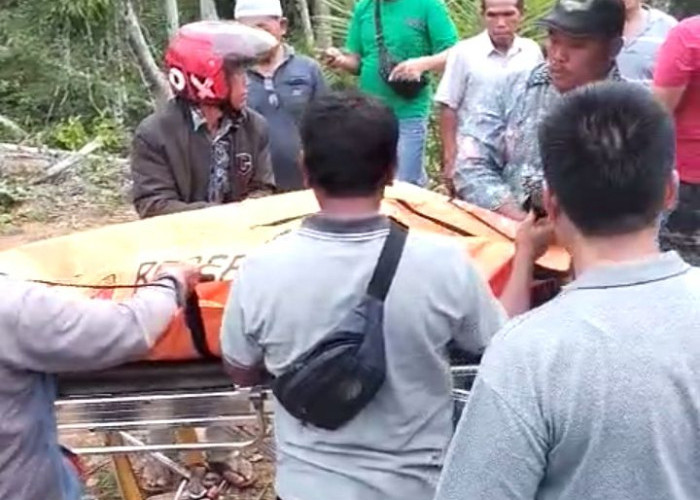 Seorang Pria Tewas di Kebun, Terdapat Luka di Bagian Leher