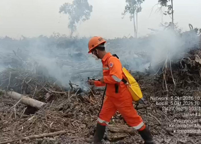 Tiga Titik Karhutla Terbakar di Batang Hari, Luas Lahan Capai 4,5 Hektare