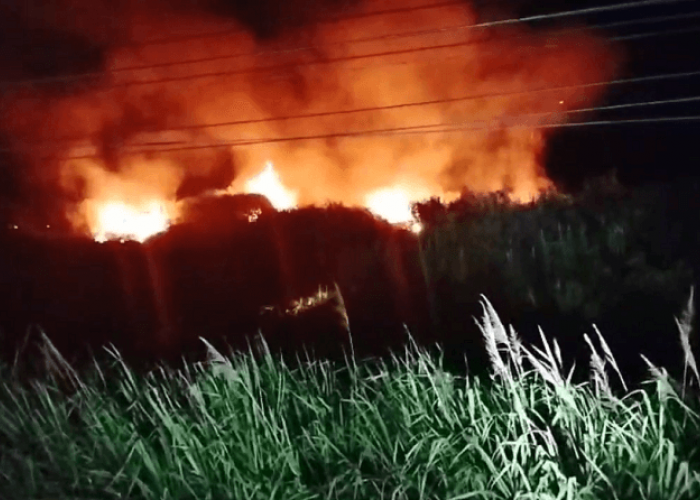 Karhutla di Kota Jambi, 2 Titik Lahan Terbakar Dalam Semalam