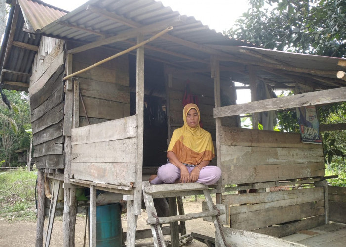Presiden Prabowo, Rumah Kakek Jasmadi dan Nenek Nurhayati Butuh Bantuan