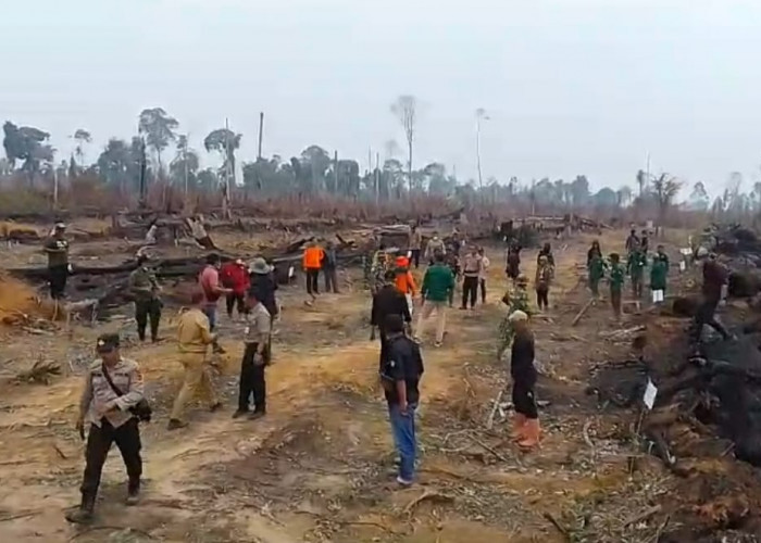 PT ABT Tanam Bibit Pohon di Bekas Lahan Terbakar