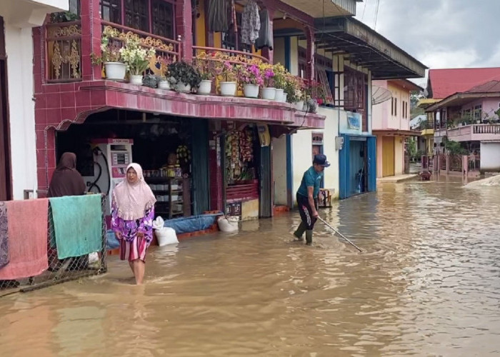 Ratusan Rumah di 3 Desa Tanjung Tanah Terendam Banjir