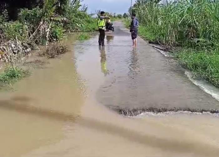 Warga 3 Desa di Muaro Jambi Terisolir Akibat Akses Jalan Putus Diterjang Banjir