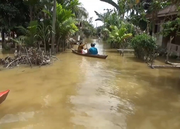 Kasihan! Ekonomi Warga Desa Muaro Jambi Lumpuh Karena 3 Bulan Banjir Belum Juga Surut