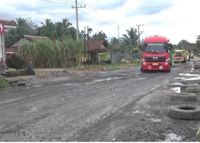 Sepanjang 117 Km Jalan Nasional di Jambi Dalam Kondisi Rusak