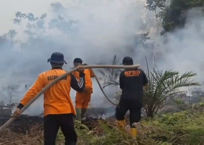 Dampak KARHUTLA Ispu Di Batang Hari Kembali Naik Ke Level Sangat Tidak Sehat Kabupaten Batang Hari