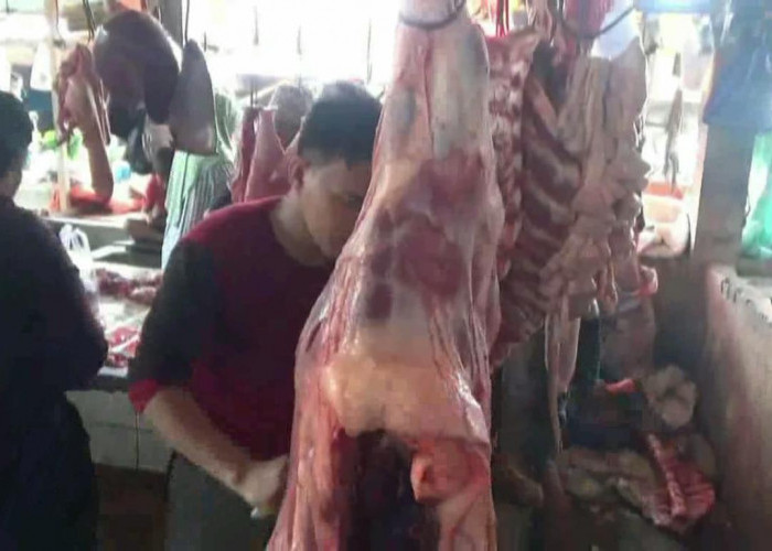 H-1 Idul Adha 1447 H, Harga Daging Sapi dan Kerbau di Batang Hari Melonjak