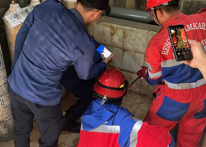 Ular Sanca Masuk Ruang Oksigen RS Kambang, Petugas Damkar Lakukan Evakuasi