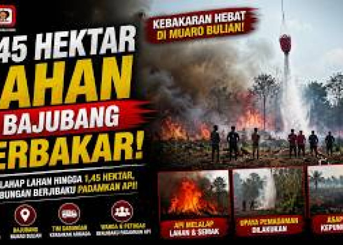 1,45 Hektare Lahan Terbakar di Batang Hari, Heli Water Bombing Dikerahkan