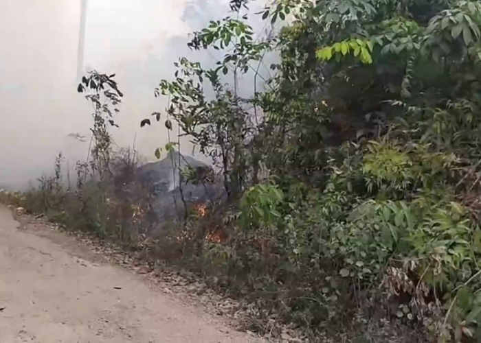 Karhutla di Batang Hari, Empat Titik Api Muncul dalam Sehari