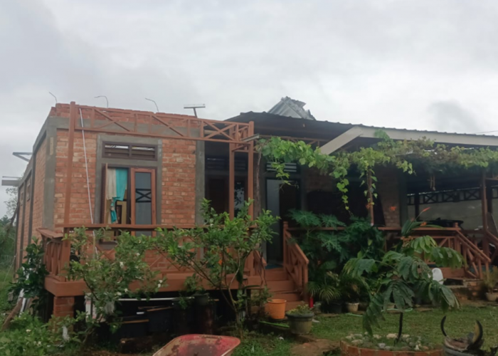 Puluhan Rumah di Rimbo Bujang Rusak Diterjang Angin Puting Beliung