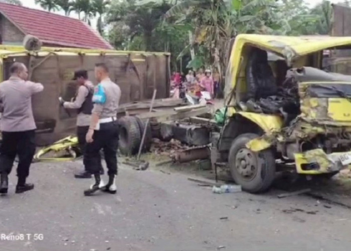 Truk Batubara Tabrak Tronton di Jalan Lintas Bajubang-Tempino, Sopir Truk Nyaris Terjepit