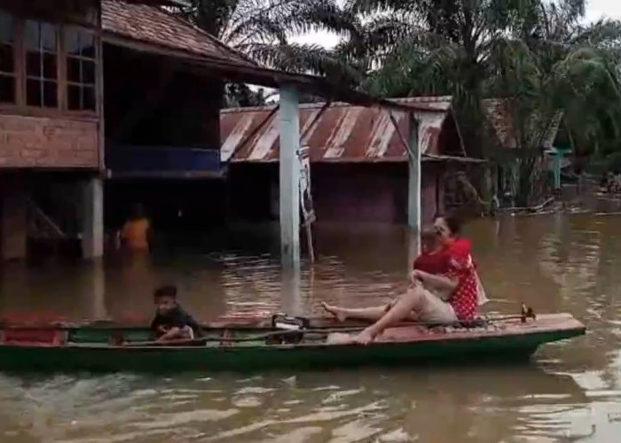 Sungai Batanghari Kembali Meluap, Rumah Warga di Maro Sebo Ulu Banjir Lagi