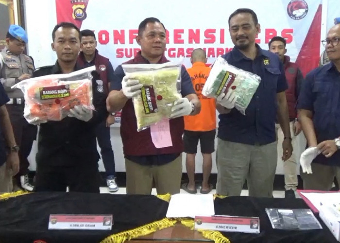 Kurir Narkoba Asal Sumsel Ditangkap Polda Jambi, Barang Bukti Sabu dan Ekstasi Senilai Rp 7,7 Miliar Diamankan