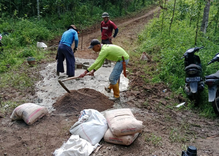 Akses Jalan Memprihatinkan, Puluhan Petani di Danau Kerinci Patungan Bangun Jalan Beton