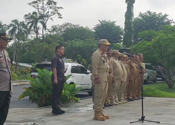 Jaga Ketertiban Pilkada, Pemkot Jambi Tempatkan Satpol PP Di Tiap Kelurahan 