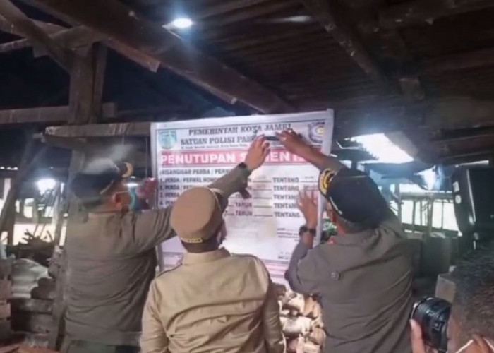 Walikota Maulana Segel Peternakan Babi Di Kelurahan Sijenjang