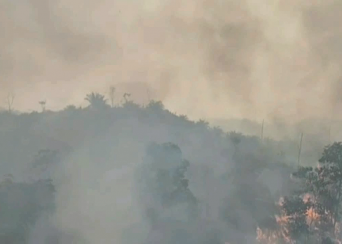 Waspada Karhutla di Batang Hari, Status Tanggap Darurat Diperpanjang hingga 20 Oktober