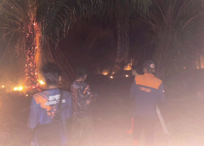Kebakaran Lagi di Muaro Jambi, 15 Hektare Lahan di Desa Rantau Panjang Hangus Terbakar