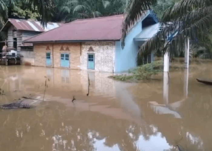 Banjir di Tembesi, 200 Unit Rumah dan Lahan Perkebunan Warga di Rantau Kapas Tuo Terendam 