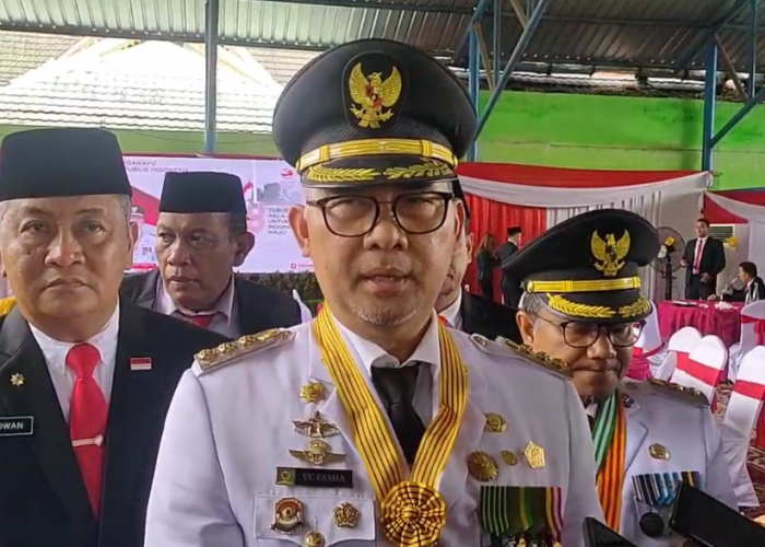 Tahun Depan Pilkada, Walikota Fasha Minta Maaf TPP Pemkot Jambi Tidak Naik 