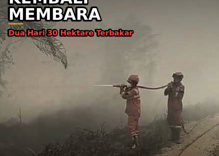 Gambut Sungai Abang Kembali Membara, Dua Hari 30 Hektare Lahan Terbakar