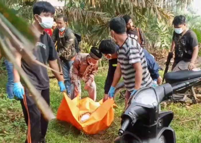 1 Bulan Menghilang, Seorang Perempuan Ditemukan Tewas dan Terkubur di Kebun Sawit