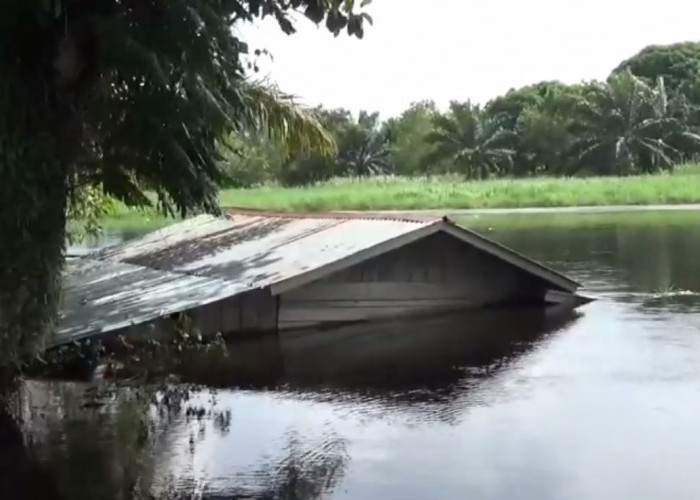 Dampak Bencana Banjir, 1 Rumah Warga di Desa Seponjen Hanyut Terbawa Arus Sungai 