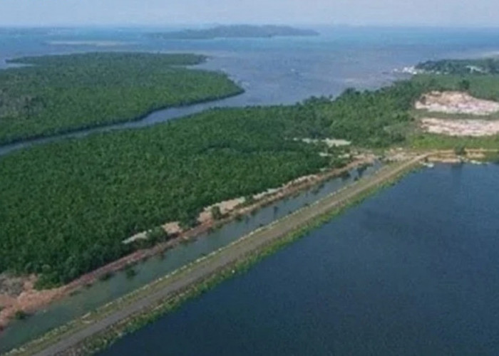 Pakar Hukum Pertanahan Sebut Status Pulau Rempang Bukan Tanah Adat 