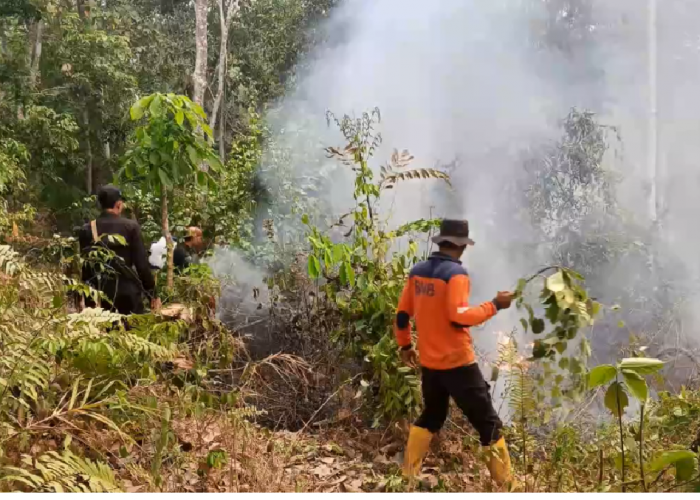 Karhutla di Batang Hari Meluas, Empat Hektare Lahan Perkebunan Karet Terbakar di Bajubang