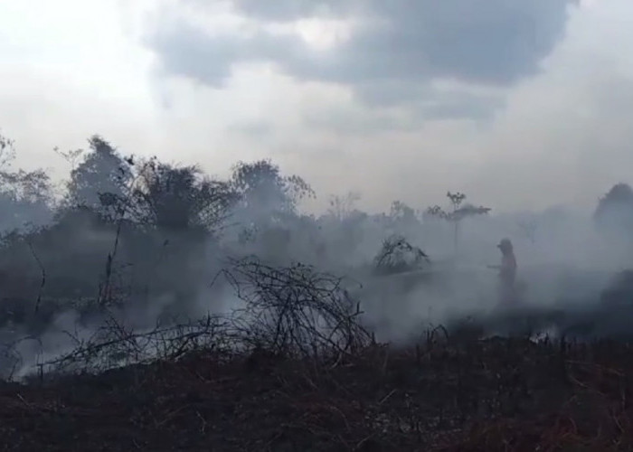 Kebakaran Lagi di Desa Lubuk Kepayang, 3 Hektar Lahan Gambut Terbakar 