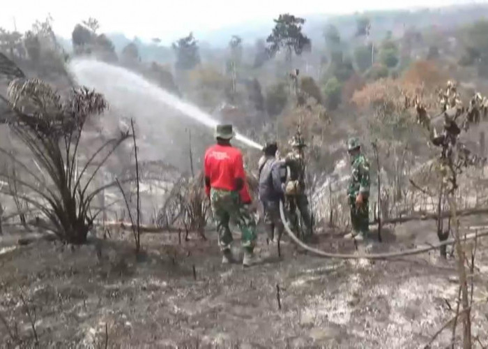 677,3 Hektare Kawasan Tahura Sultan Thaha Syaifuddin di Batang Hari Hangus Terbakar