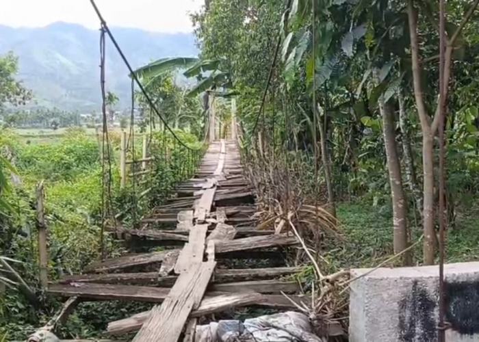 Jembatan Lapuk Mengancam Warga, Desa Pinggir Air Butuh Perhatian Pemerintah