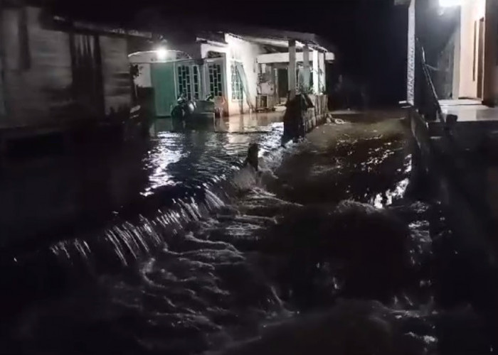 Ratusan Rumah di Desa Pulau Kayu Aro Masih Terendam Banjir