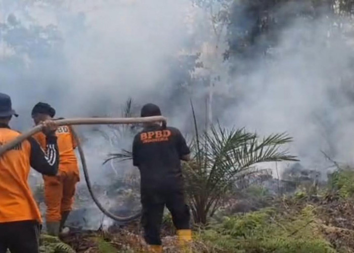 Tiga Hektare Lahan Perkebunan di Tenam Terbakar, Petugas Berjibaku Hingga Tengah Malam