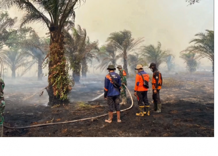 Dampak Karhutla, Kabut Asap Pekat Selimuti Muaro Jambi, ISPU Capai Level Berbahaya