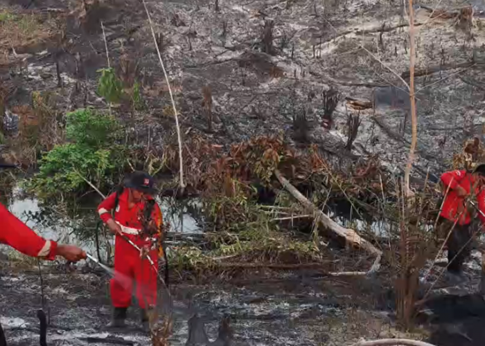 BPBD Batang Hari Siagakan 38 Personel Antisipasi Karhutla