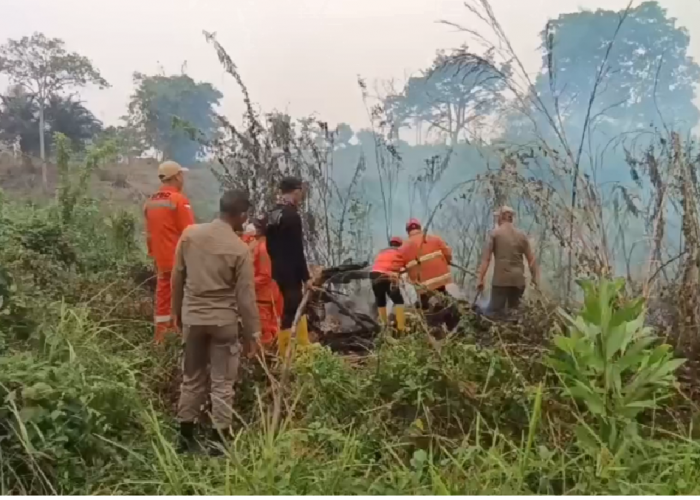 Karhutla di Batang Hari, Dua Hektare Lahan Terbakar di Muara Bulian