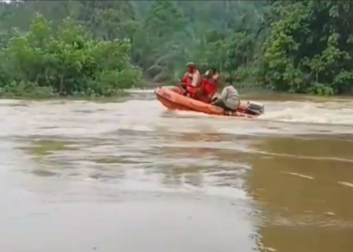 Jasad Nenek Yang Tenggelam di Sungai Sekalo Ditemukan 1 Km Dari Lokasi Terjatuh