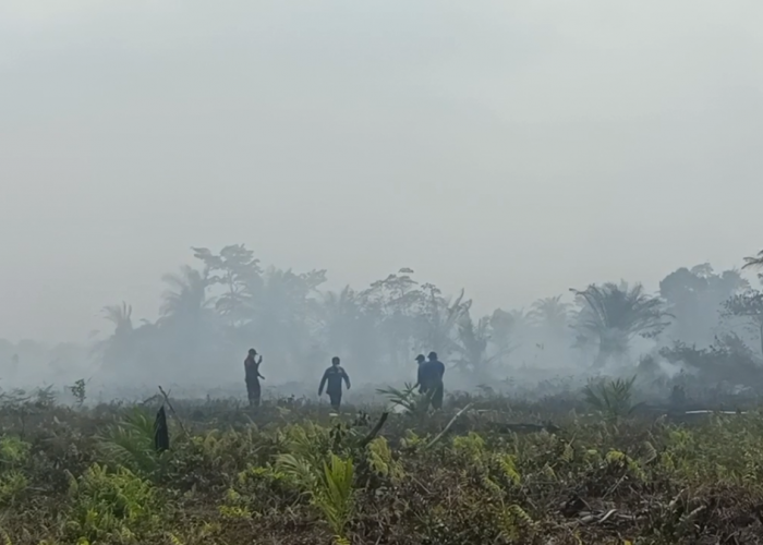 Karhutla Makin Meluas, Pemkab Sarolangun Naikkan Status Jadi Tanggap Darurat